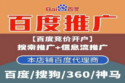 SEM运营策略案例分析